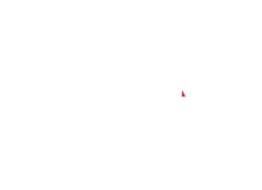 Rhinoware IT